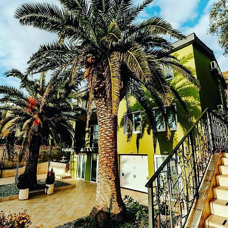 Palm Point Apartment Petrovac Buitenkant foto