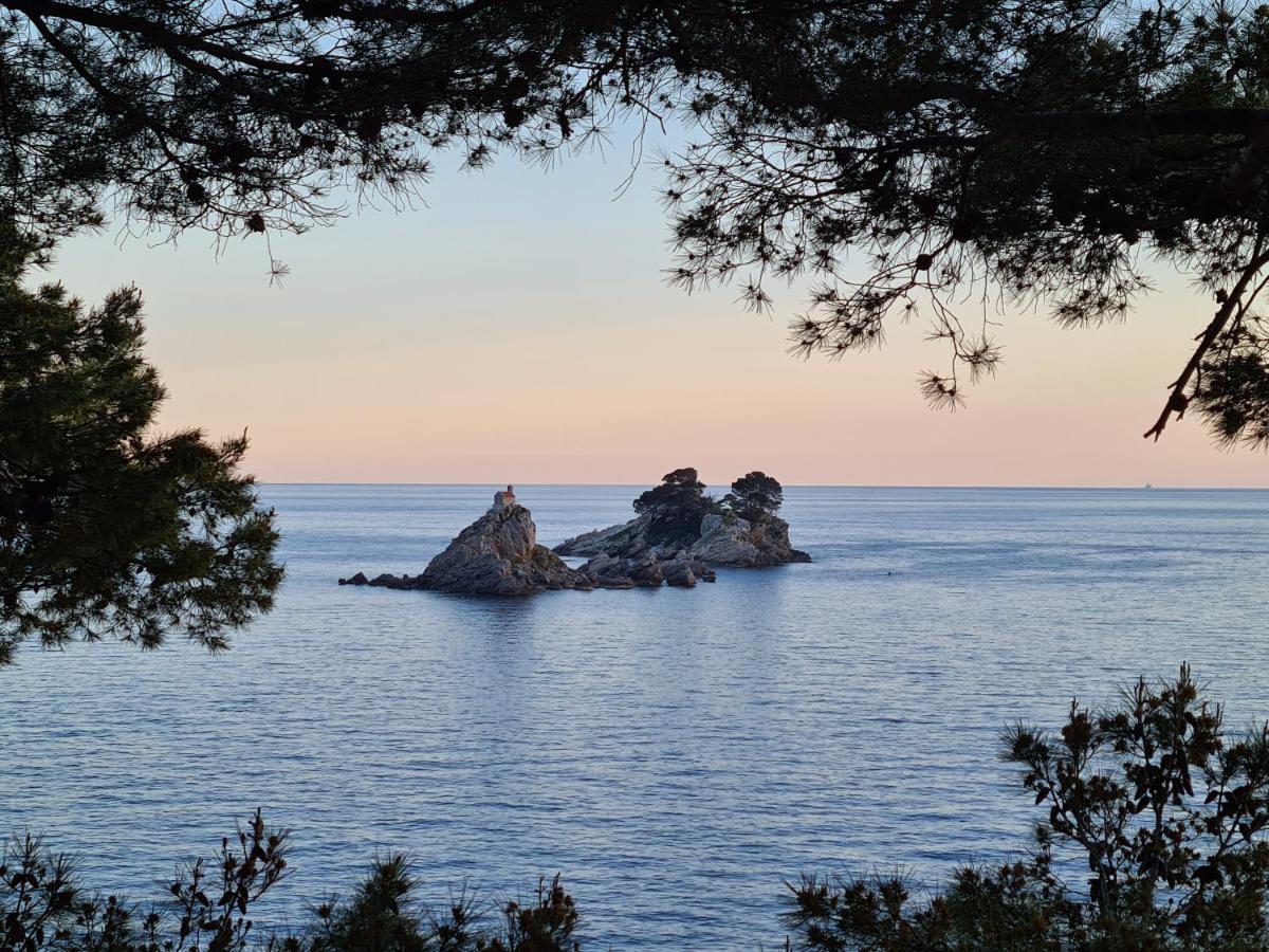 Palm Point Apartment Petrovac Buitenkant foto