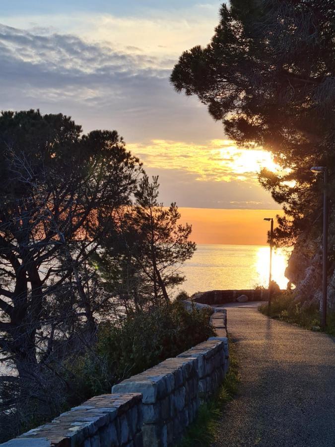 Palm Point Apartment Petrovac Buitenkant foto