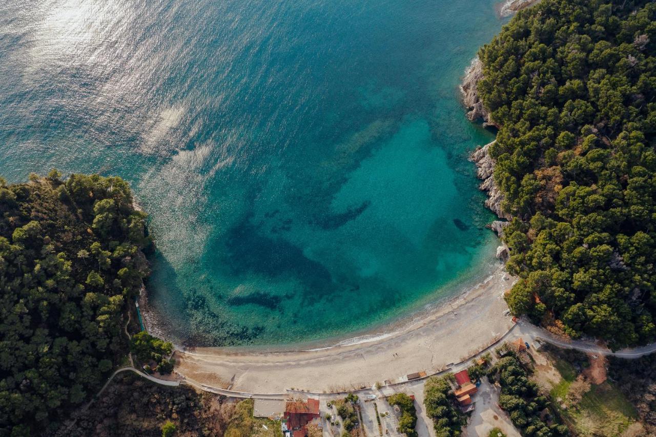 Palm Point Apartment Petrovac Buitenkant foto